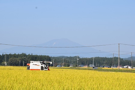 DSC_1272.JPG