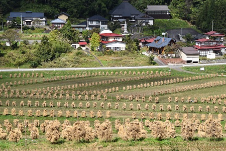 DSC_1298 - コピー.JPG