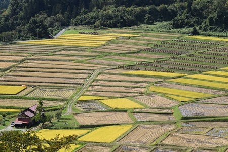 DSC_1331 - コピー.JPG