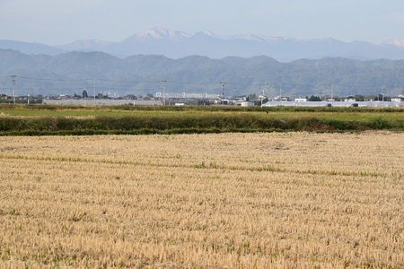 DSC_1396.JPG