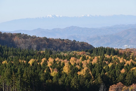 DSC_1411 - コピー.JPG