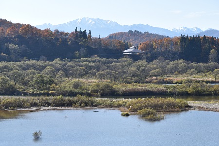 DSC_1451 - コピー.JPG