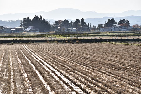 DSC_1477 - コピー.JPG