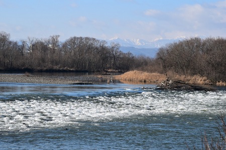 DSC_1602 - コピー.JPG