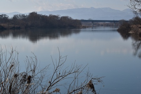 DSC_1620 - コピー.JPG