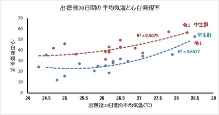 出穂後気温と心白発現率 .jpg
