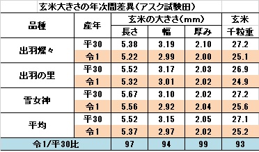 玄米の大きさの比較 .jpg