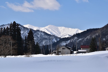 DSC_1761 - コピー.JPG