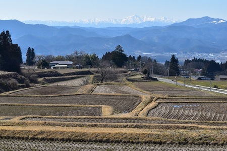 DSC_1811 - コピー.JPG