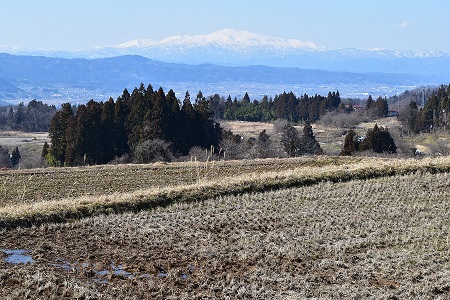 DSC_1814 - コピー.JPG