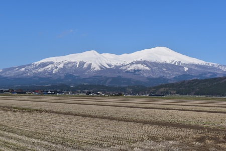 DSC_0339 - コピー.JPG