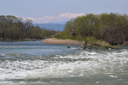 DSC_1893 - コピー.JPG