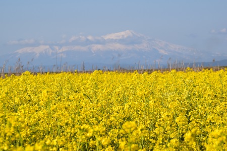 DSC_2050 - コピー.JPG