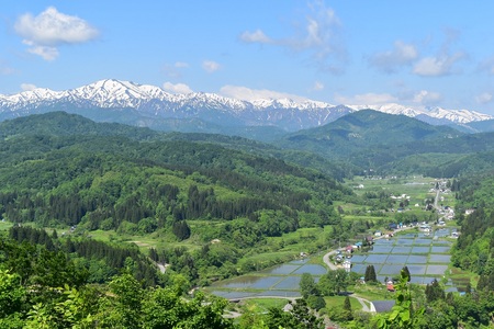 DSC_0099 - コピー.JPG