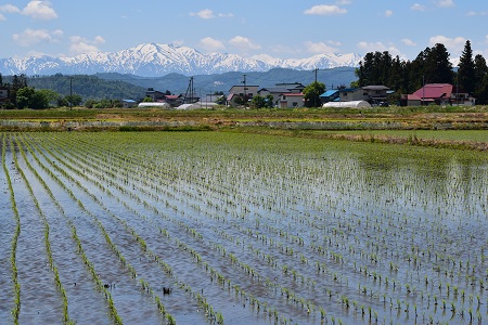 DSC_0134 - コピー.JPG