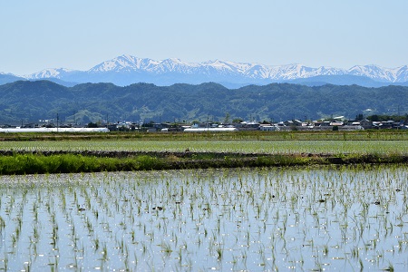 DSC_0159 - コピー.JPG