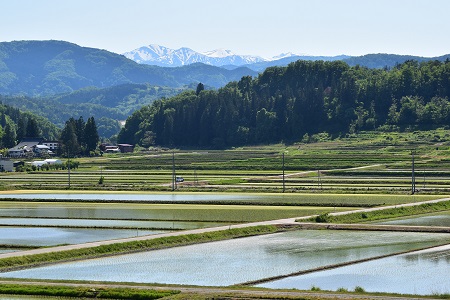 DSC_0165 - コピー.JPG