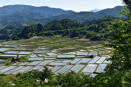 DSC_0171 - コピー.JPG