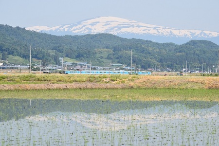 DSC_0325 - コピー.JPG