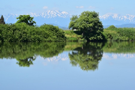 DSC_0377 - コピー.JPG