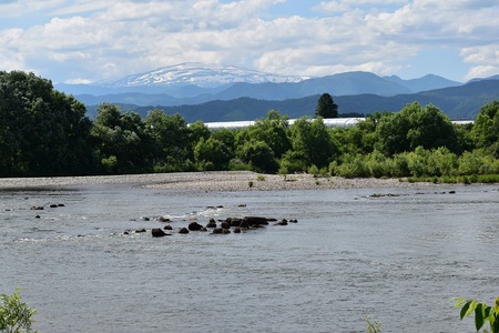 DSC_0398 - コピー.JPG