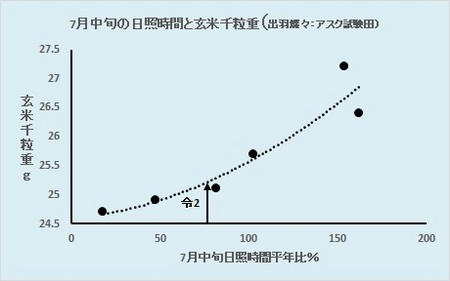 日照時間と千粒重.jpg