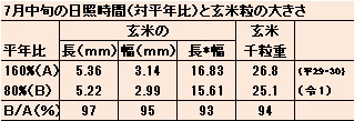 日照時間と玄米の大きさ.jpg