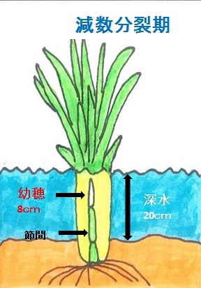 深水管理.jpg
