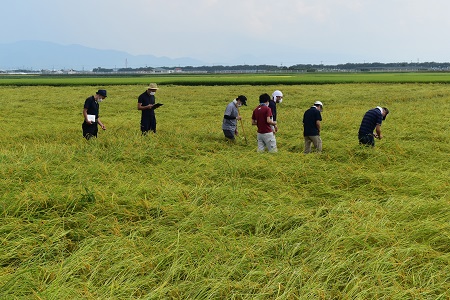 DSC_0493 - コピー.JPG