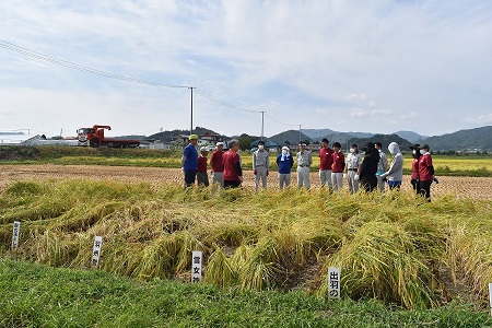 DSC_0578 - コピー.JPG