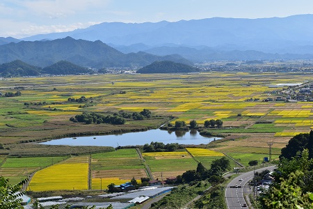 DSC_0683 - コピー (2).JPG