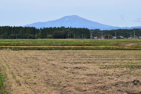 DSC_0696 - コピー.JPG