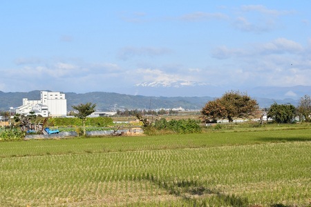 DSC_0722 - コピー.JPG