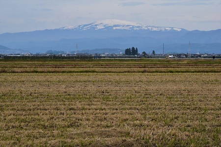 DSC_0741 (3) - コピー.JPG