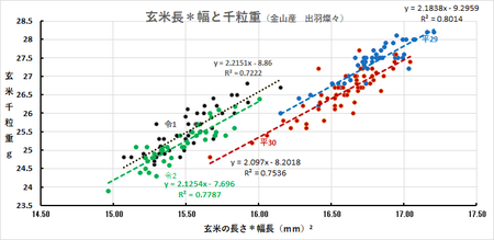 玄米長さ＊幅と千粒重.png
