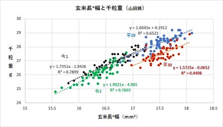 玄米長＊幅と千粒重（山田錦）.jpg
