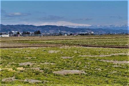 DSC_0957.JPG