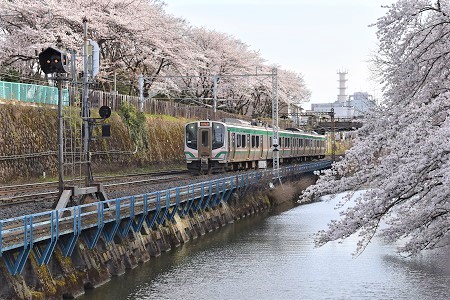 DSC_0973 - コピー (2).JPG