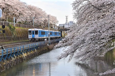 DSC_0989 - コピー.JPG