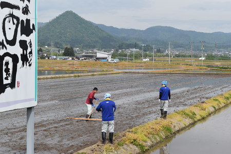 DSC_1067 - コピー.JPG