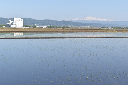 DSC_1094 - コピー.JPG