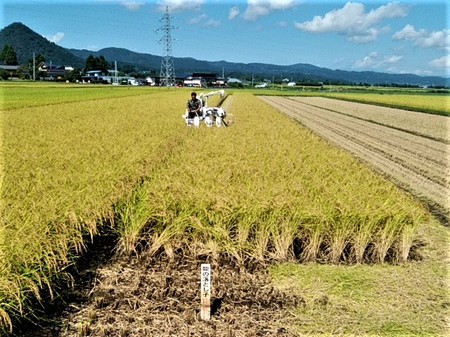 IMG_20210912_103404 (2).jpg