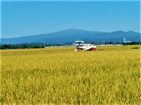 IMG_20210920_102533 (2).jpg