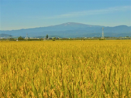 P1070734 (2) - コピー.JPG