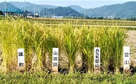 IMG_20211004_081735 (2).jpg