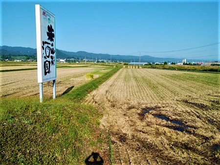 IMG_20211004_082042 (2).jpg