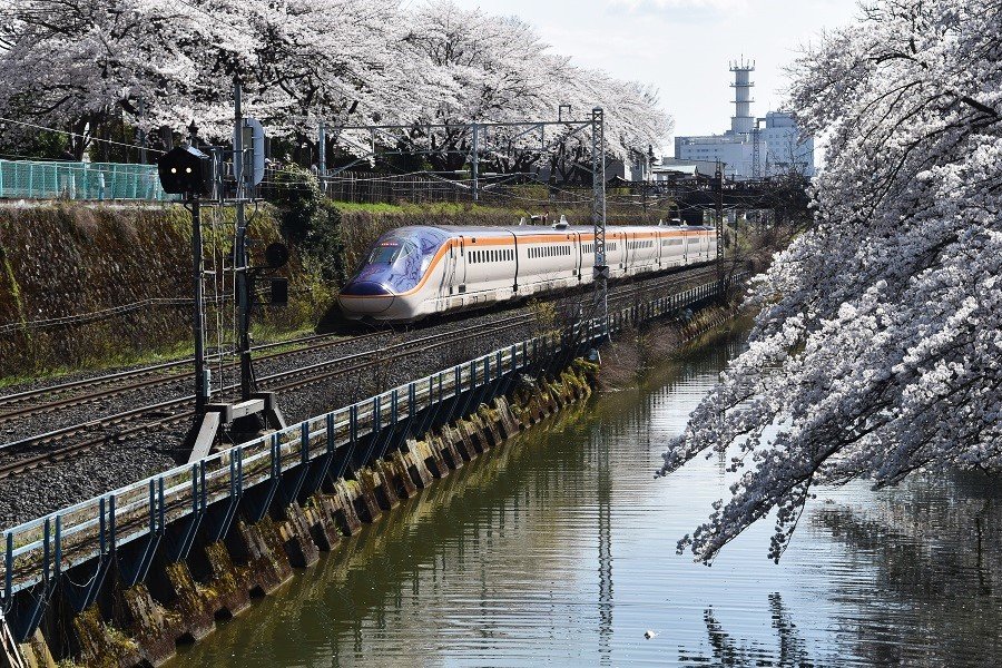 DSC_0006 - コピー.JPG