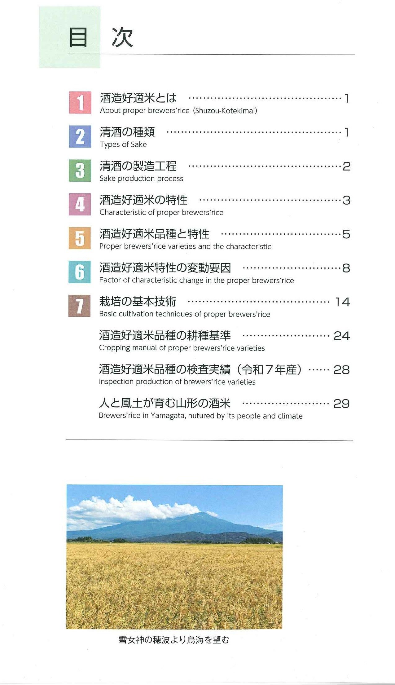 テキスト2.jpg