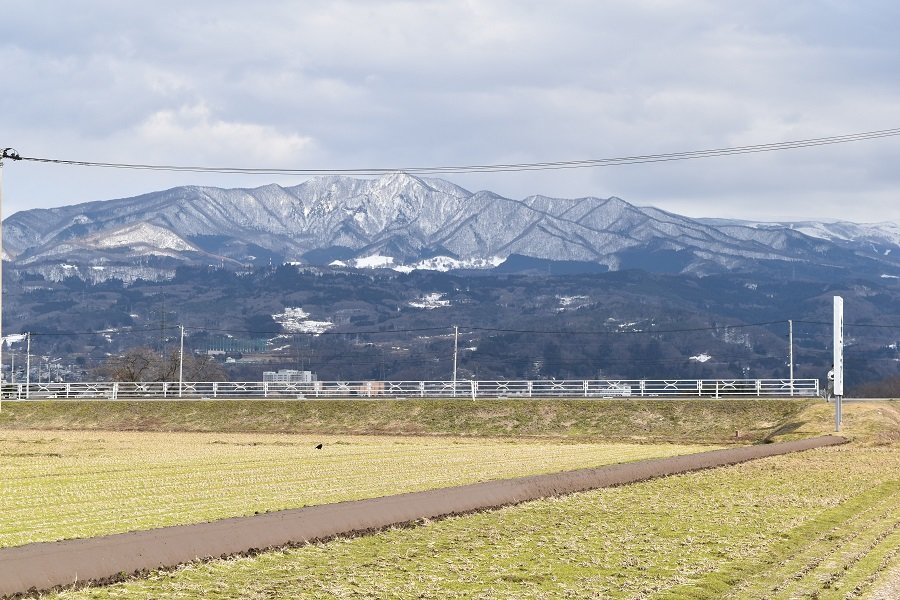 DSC_1297 - コピー.JPG