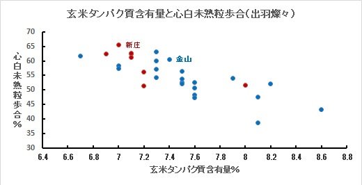タンパクと心白未熟粒（1）.jpg